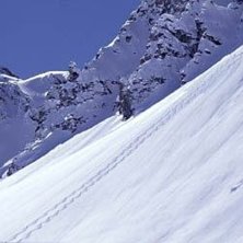 Foto: Ulf &Ouml;jerbrand. &Aring;kare: ok&auml;nda.