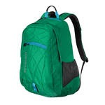 Patagonia Violeta 25L 2013