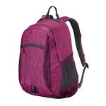 Patagonia Violeta 25L