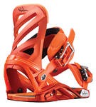 Salomon Hologram