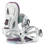 Salomon Absolute Premium