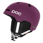 POC Fornix