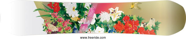 Capita Birds of a Feather