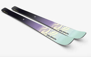Salomon Stance 88