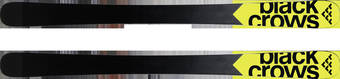 Black Crows Junius