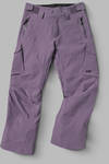 FW CATALYST 2L PANT - WPS