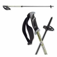 Black Diamond FlickLock Probe Poles