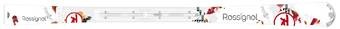Rossignol PASSION W ZIP 2013