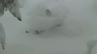 Trailer: Everyday Is A Saturday