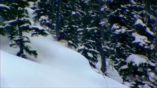 Behind The Line: Pillow Madness