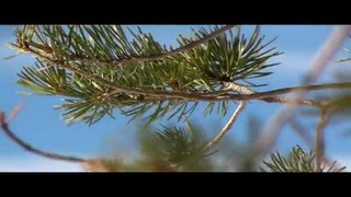 Film: Where No Clouds Go