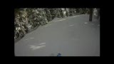 Ett åk i skogen