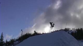 Gesunda overall intro.