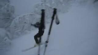 Skogen i kittelfjäll