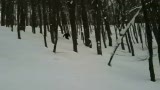 Powderhunt 2010