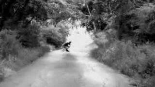 Snowboard på asfalt, snowboard på sommaren