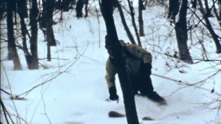 En vinter i Stockholm