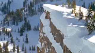 Svennar med sjukt dåligt omdömme