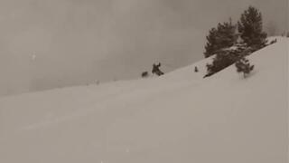 ett klipp för kropp och själ