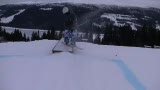 Kött, åre