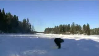 första backflipen !