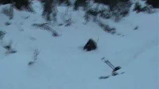 f-flipen på telisarna