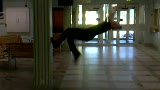 Wall flip