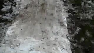 Kamikazehopp ut på barmark