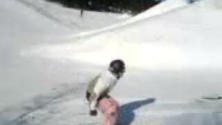 wannabe Charles Gagnier