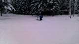 whip