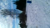backflip