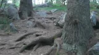 ful krasch med mini cyklel -.-