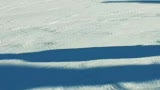 Arboga Edit