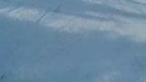 BBRpreview.mov