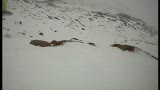 Nm 2011