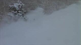 En dag under säsongen