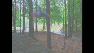 Viktor Berndt- Göteborg