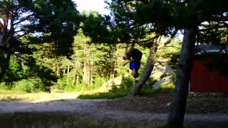 Wall-Flip 180 från träd