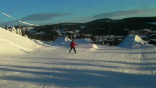 gal1 gutt röjer i kil