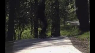 Freebord event 1\\jönköping/