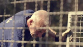 Passion and mango - Fancy