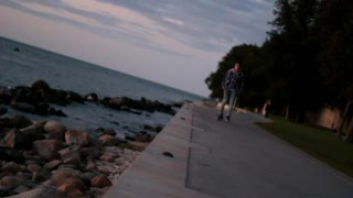 Moose - Skate från Gotland