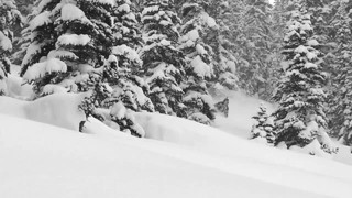 Heliskiing med Dendrite