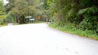 Longboarding:Downhill