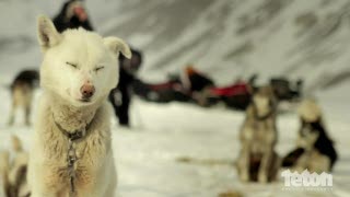 Jeremy Jones' Further Trailer - Teton Gravity Research's 2012 HD Snowboard Film