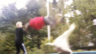 Sista studsmattefilmen 2011.