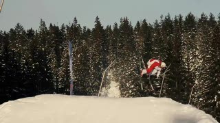 For the Fun of it - Mustaschlife