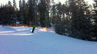 tränar/skidor
