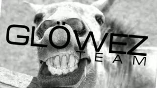 Axel Gottfridsson (Glöwez) - Make It Happen videokval