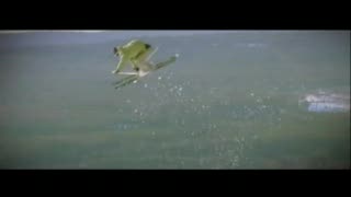 Fresh: Second Hands Teaser